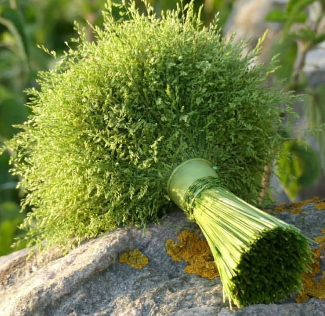 Blomsterkreation
